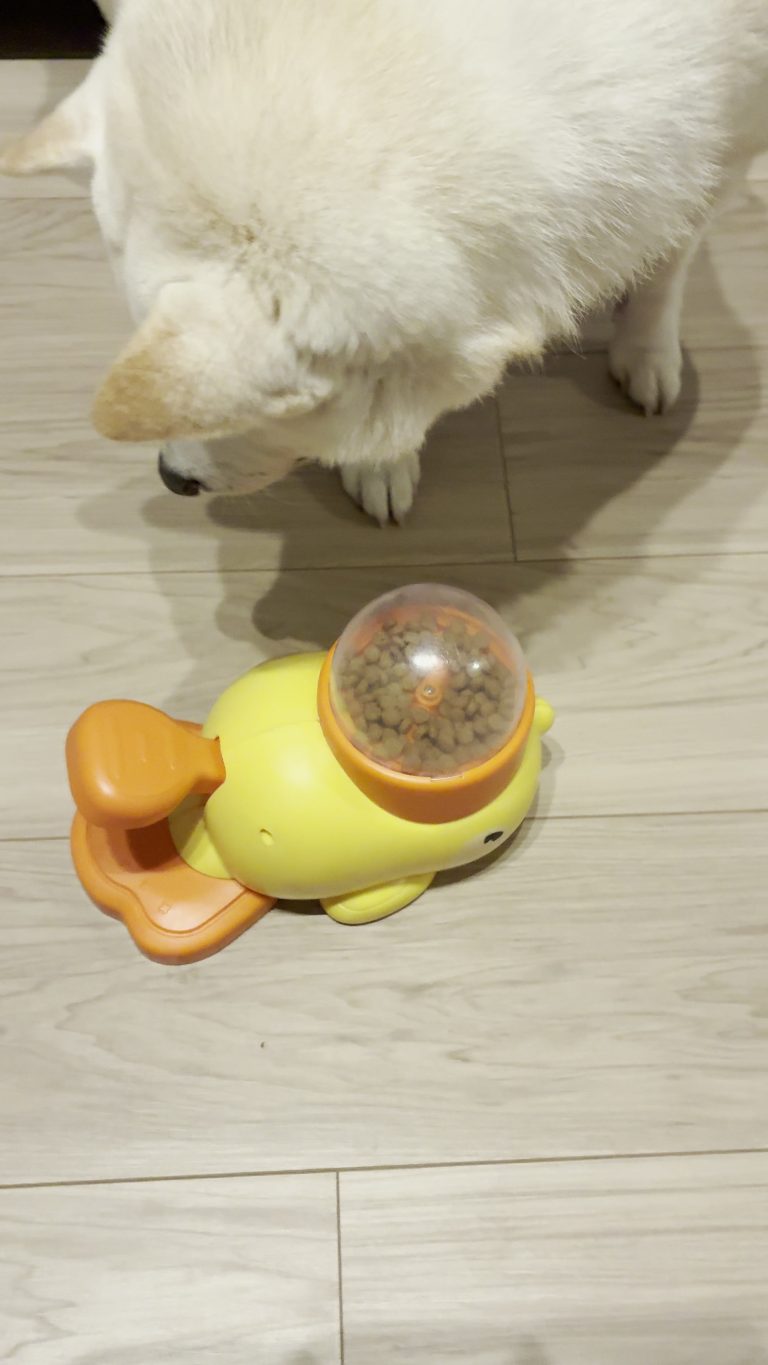 華のアップ