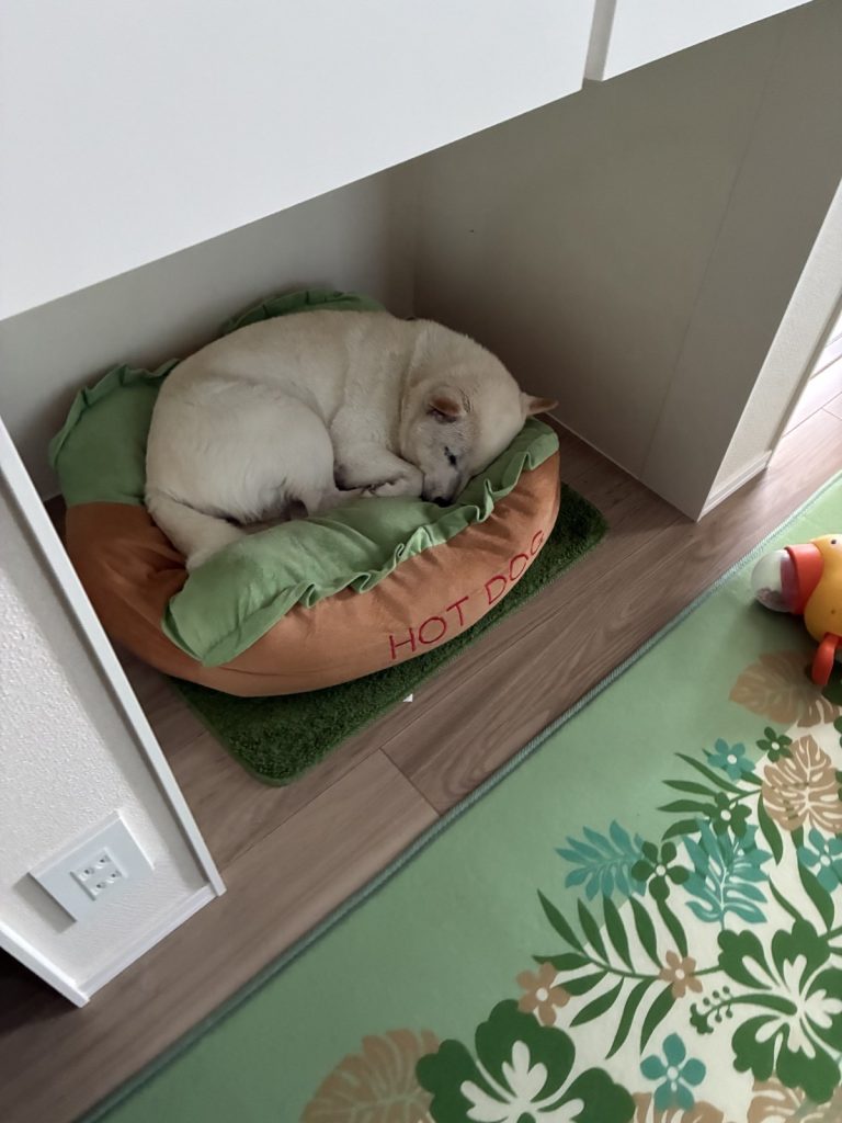 白柴の華